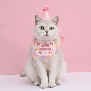 도그웨그 생일 꼬깔 모자 케이프 세트 강아지 고양이 생일파티 악세사리